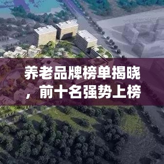 養(yǎng)老品牌榜單揭曉，前十名強(qiáng)勢(shì)上榜，不容錯(cuò)過(guò)！