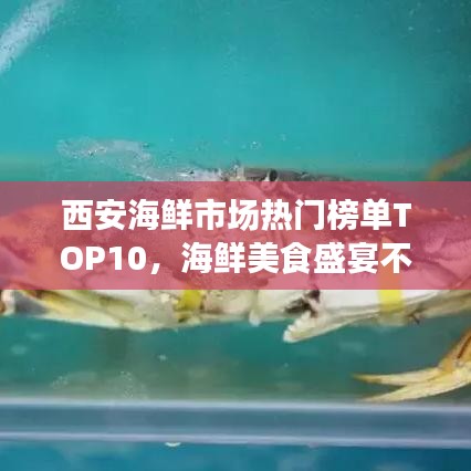 西安海鮮市場(chǎng)熱門榜單TOP10，海鮮美食盛宴不容錯(cuò)過！