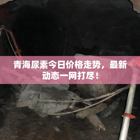 青海尿素今日價(jià)格走勢(shì)，最新動(dòng)態(tài)一網(wǎng)打盡！