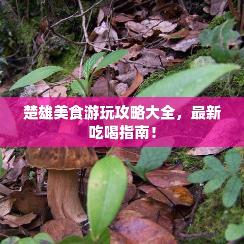 楚雄美食游玩攻略大全，最新吃喝指南！