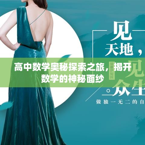 高中數(shù)學(xué)奧秘探索之旅，揭開數(shù)學(xué)的神秘面紗
