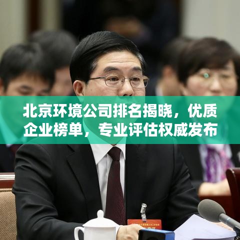 北京環(huán)境公司排名揭曉，優(yōu)質企業(yè)榜單，專業(yè)評估權威發(fā)布！