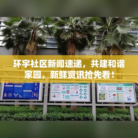 環(huán)宇社區(qū)新聞速遞，共建和諧家園，新鮮資訊搶先看！