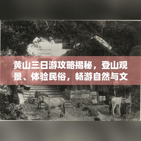 黃山三日游攻略揭秘，登山觀景、體驗(yàn)民俗，暢游自然與文化的盛宴！