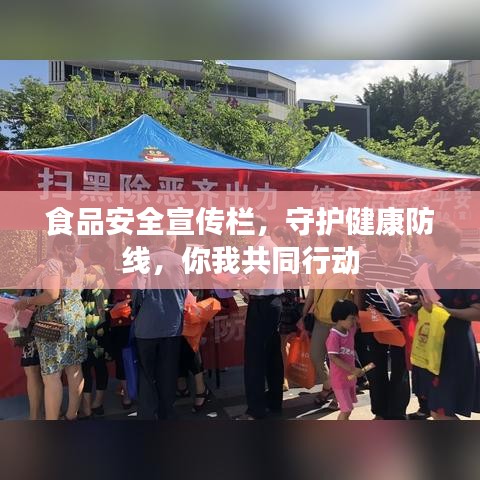 食品安全宣傳欄，守護(hù)健康防線，你我共同行動(dòng)