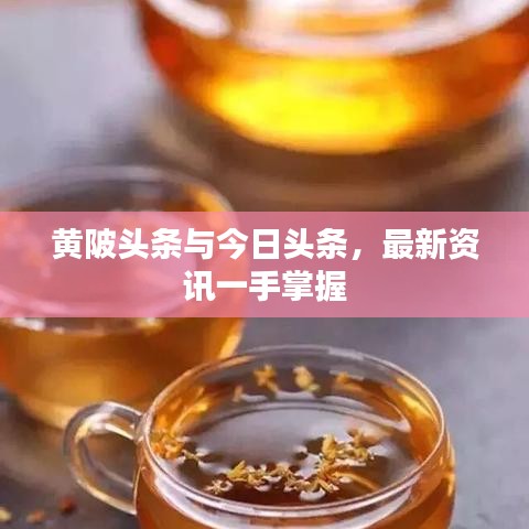 黃陂頭條與今日頭條，最新資訊一手掌握