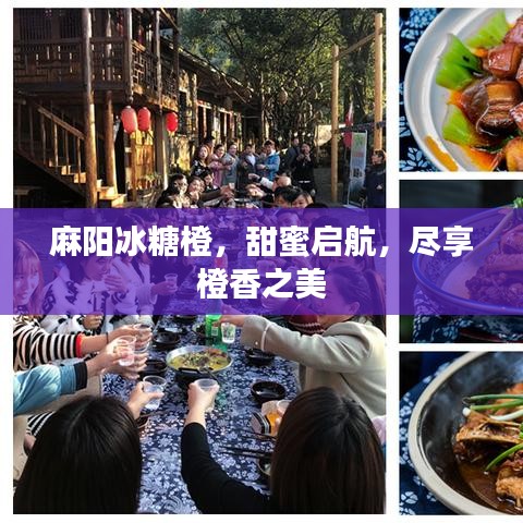 麻陽冰糖橙，甜蜜啟航，盡享橙香之美