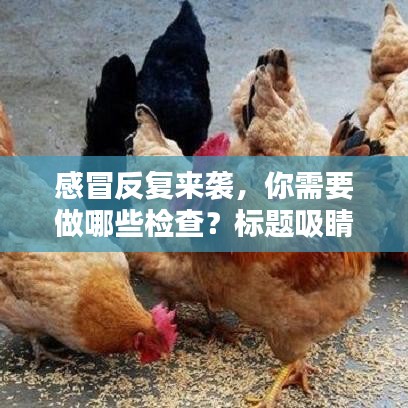 感冒反復(fù)來(lái)襲，你需要做哪些檢查？標(biāo)題吸睛，百度收錄標(biāo)準(zhǔn)
