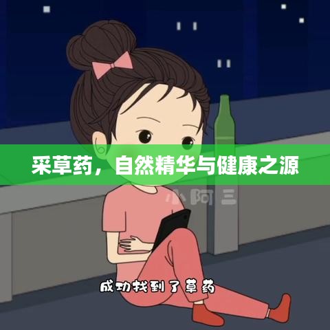 采草藥，自然精華與健康之源