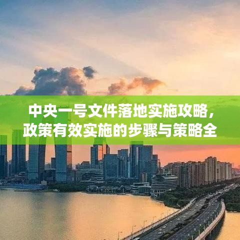 中央一號文件落地實施攻略，政策有效實施的步驟與策略全解析