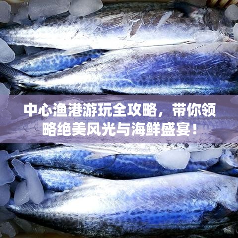 中心漁港游玩全攻略，帶你領(lǐng)略絕美風(fēng)光與海鮮盛宴！