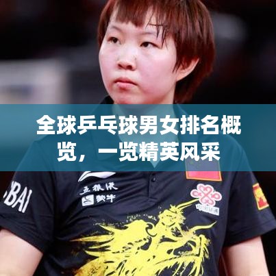 全球乒乓球男女排名概覽，一覽精英風(fēng)采