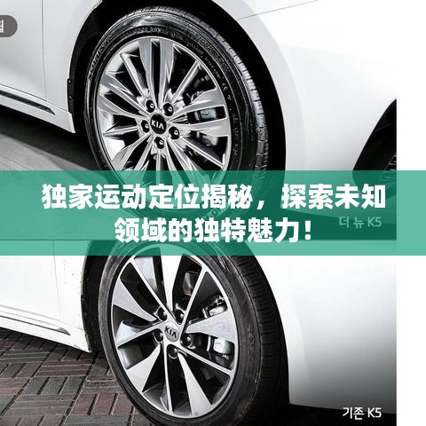獨(dú)家運(yùn)動(dòng)定位揭秘，探索未知領(lǐng)域的獨(dú)特魅力！