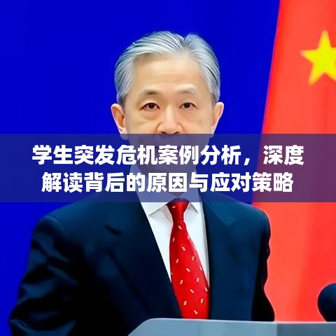 學生突發(fā)危機案例分析，深度解讀背后的原因與應(yīng)對策略