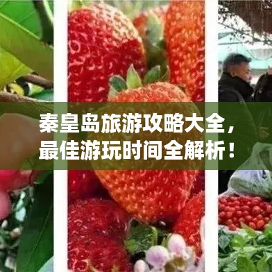 秦皇島旅游攻略大全，最佳游玩時間全解析！