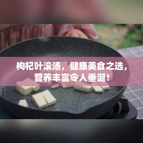 枸杞葉滾湯，健康美食之選，營養(yǎng)豐富令人垂涎！