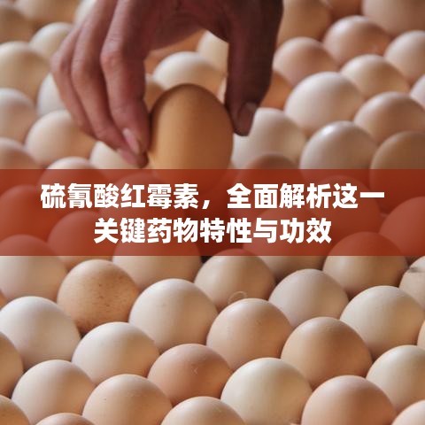 硫氰酸紅霉素，全面解析這一關(guān)鍵藥物特性與功效