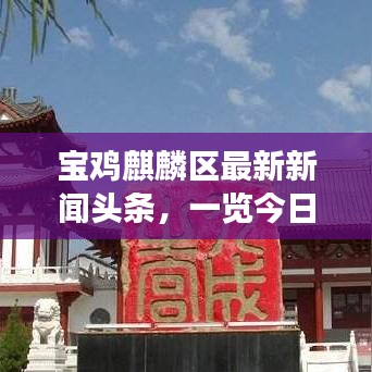 寶雞麒麟?yún)^(qū)最新新聞?lì)^條，一覽今日熱點(diǎn)事件