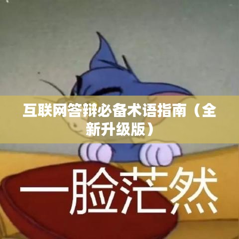 互聯(lián)網答辯必備術語指南（全新升級版）