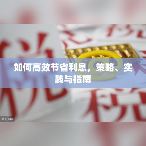 如何高效節(jié)省利息，策略、實(shí)踐與指南
