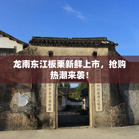 龍南東江板栗新鮮上市，搶購(gòu)熱潮來(lái)襲！