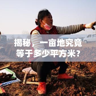 揭秘，一畝地究竟等于多少平方米？土地面積轉換全解析！
