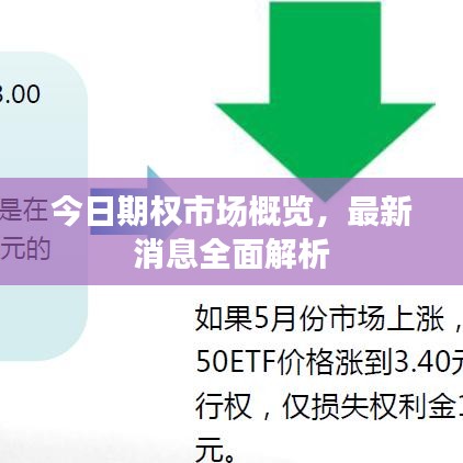 今日期權(quán)市場(chǎng)概覽，最新消息全面解析
