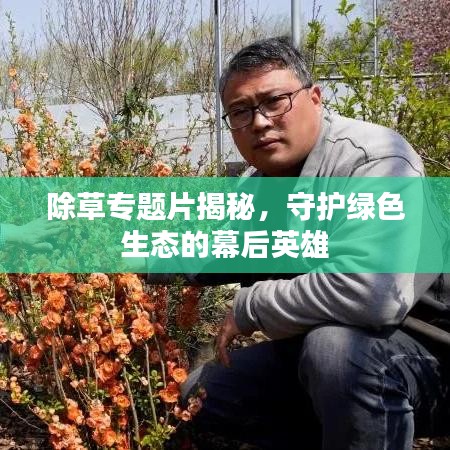 除草專題片揭秘，守護(hù)綠色生態(tài)的幕后英雄