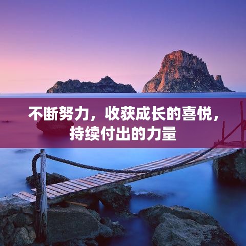 不斷努力，收獲成長的喜悅，持續(xù)付出的力量