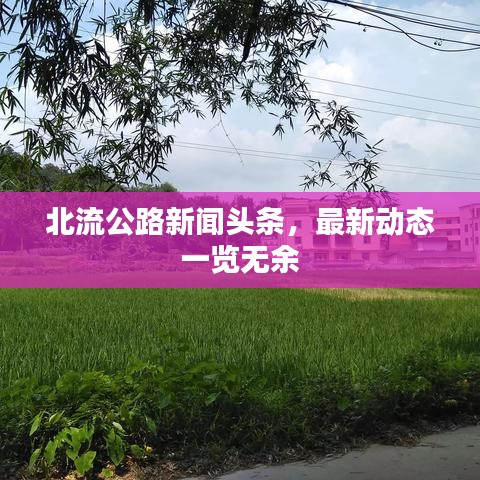 指李推張 第2頁