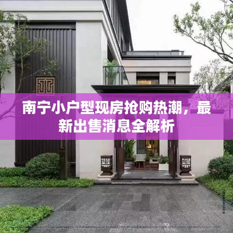 南寧小戶(hù)型現(xiàn)房搶購(gòu)熱潮，最新出售消息全解析
