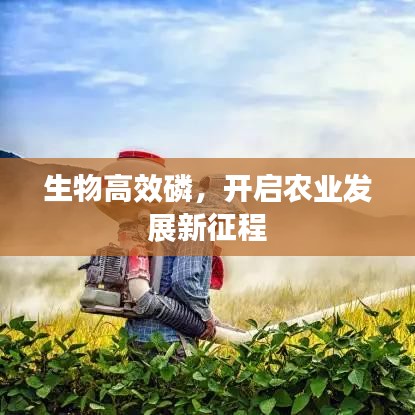 生物高效磷，開(kāi)啟農(nóng)業(yè)發(fā)展新征程