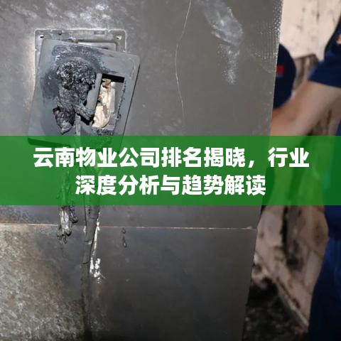 云南物業(yè)公司排名揭曉，行業(yè)深度分析與趨勢解讀