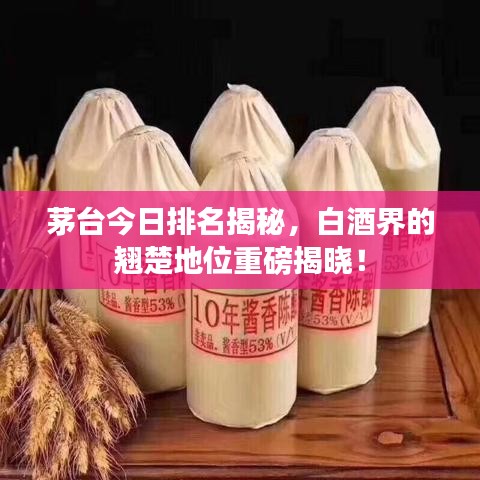 茅臺今日排名揭秘，白酒界的翹楚地位重磅揭曉！