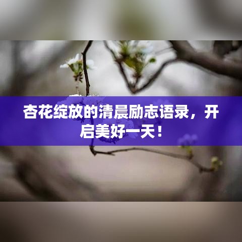 杏花綻放的清晨勵(lì)志語(yǔ)錄，開啟美好一天！