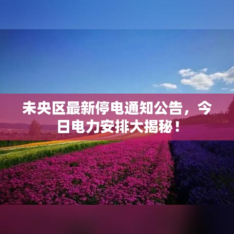 未央?yún)^(qū)最新停電通知公告，今日電力安排大揭秘！