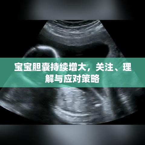 寶寶膽囊持續(xù)增大，關(guān)注、理解與應(yīng)對(duì)策略