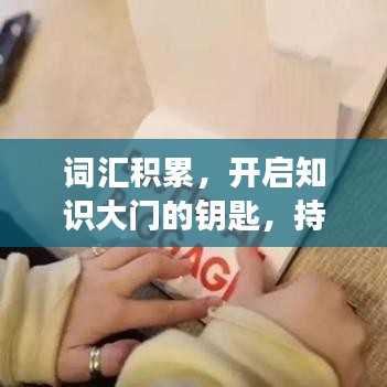 詞匯積累，開啟知識(shí)大門的鑰匙，持續(xù)學(xué)習(xí)成就未來之路