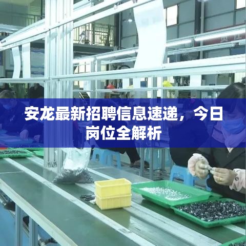 安龍最新招聘信息速遞，今日崗位全解析