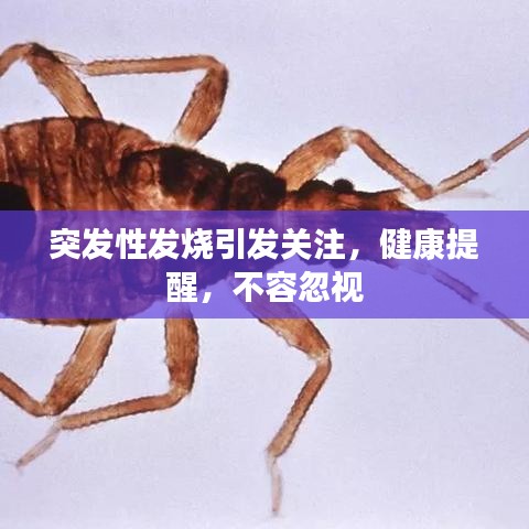 突發(fā)性發(fā)燒引發(fā)關注，健康提醒，不容忽視