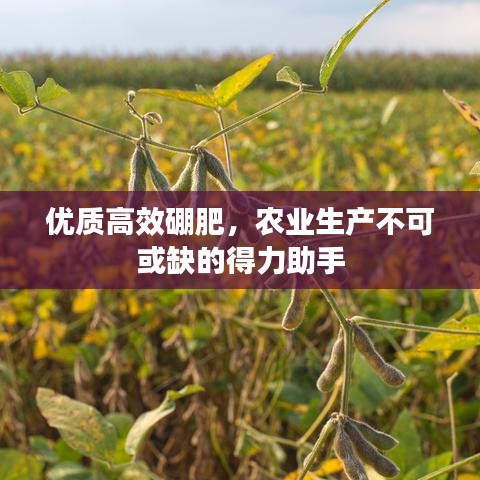 優(yōu)質(zhì)高效硼肥，農(nóng)業(yè)生產(chǎn)不可或缺的得力助手