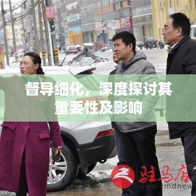 督導(dǎo)細(xì)化，深度探討其重要性及影響