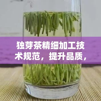獨(dú)芽茶精細(xì)加工技術(shù)規(guī)范，提升品質(zhì)，百度收錄必備指南