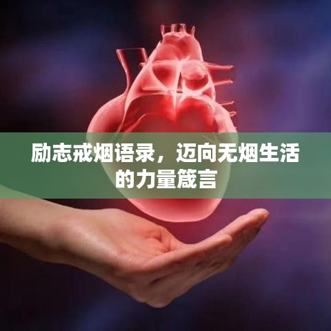勵(lì)志戒煙語錄，邁向無煙生活的力量箴言