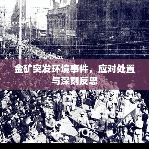 金礦突發(fā)環(huán)境事件，應(yīng)對處置與深刻反思