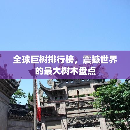 全球巨樹排行榜，震撼世界的最大樹木盤點(diǎn)