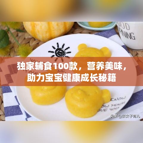 獨(dú)家輔食100款，營(yíng)養(yǎng)美味，助力寶寶健康成長(zhǎng)秘籍
