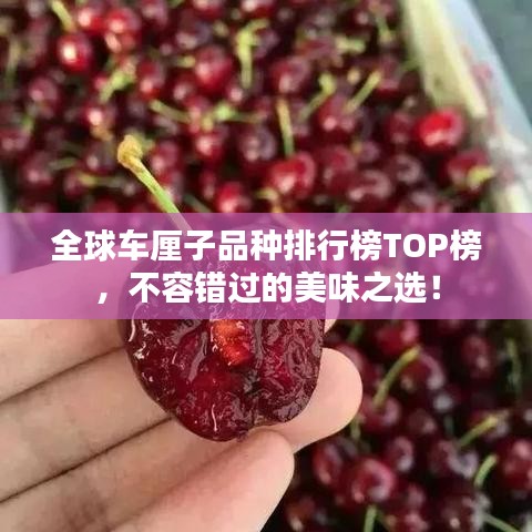 全球車厘子品種排行榜TOP榜，不容錯過的美味之選！