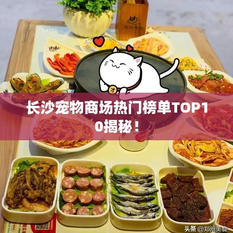 長沙寵物商場熱門榜單TOP10揭秘！
