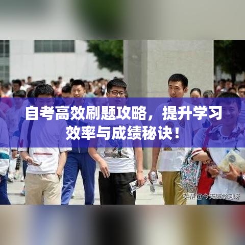 自考高效刷題攻略，提升學(xué)習(xí)效率與成績(jī)秘訣！